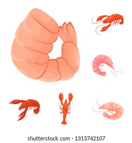 Vector design of shrimp and crab sign. Collection of shrimp and sea stock vector illustration.