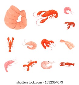 Vector design of shrimp and crab symbol. Collection of shrimp and sea stock vector illustration.