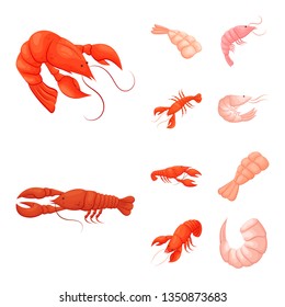 Vector design of shrimp and crab symbol. Set of shrimp and sea vector icon for stock.