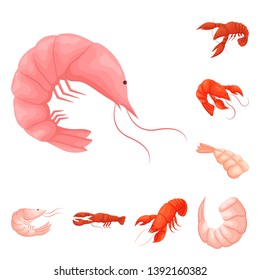Vector design of shrimp and crab symbol. Collection of shrimp and sea vector icon for stock.