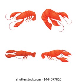 Vector design of shrimp and crab symbol. Set of shrimp and sea stock symbol for web.