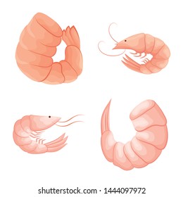 Vector design of shrimp and crab symbol. Set of shrimp and sea stock symbol for web.