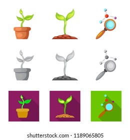 Vector design of  and  sign. Collection of  and  stock vector illustration.