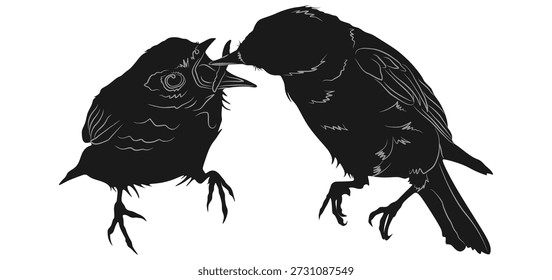 Diseño de Vector de silueta de aves que comparten comida
