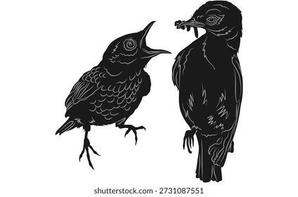 Diseño de Vector de silueta de aves que comparten comida