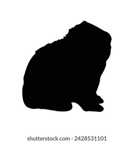 vector design silhouette of rabbit or Oryctolagus cuniculus