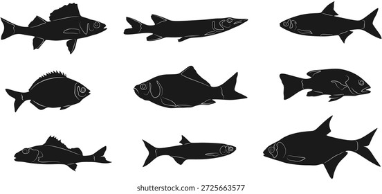 Conjunto de silueta de diseño de Vector de peces de mar EPS