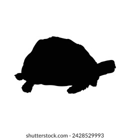 vector design silhouette of turtles or Testudines