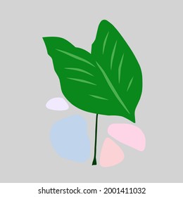 Diseño de vectores Ilustración simple de hojas de taro verde aptas para diseños de logotipo, iconos, pegatinas, marcas y camisetas