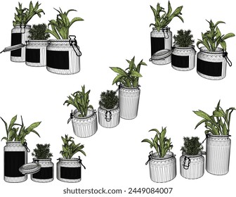 vector design sketch illustration of beautiful ornamental plants in pots for home interior table decoration
