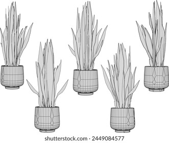 vector design sketch illustration of beautiful ornamental plants in pots for home decoration