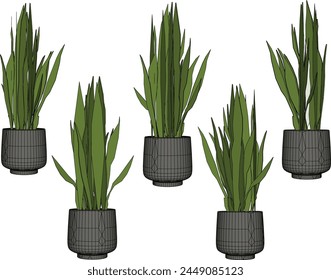 vector design sketch illustration of beautiful ornamental plants in pots for home decoration