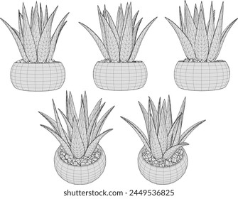 vector design sketch illustration of a beautiful small ornamental plant in a pot for home interior table decoration