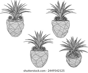 vector design sketch illustration of a beautiful ornamental bonsai plant with broad leaves in a pot for home interior decoration