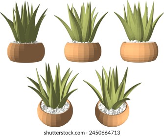 Diseño de Vector boceto ilustración de una hermosa planta ornamental Pequeña en una olla para decoración de mesa interior del hogar