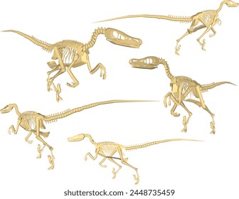 Vektorgrafik Design Skizze Illustration von karnivoren Velociraptor Dinosaurier Schädel Skelett