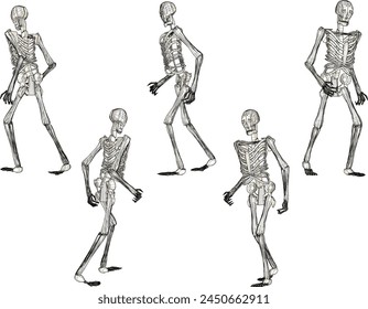 Ilustración de boceto de diseño de Vector de un esqueleto de cráneo humano corriendo
