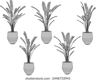 vector design sketch illustration of ornamental plants in pots for home interiors