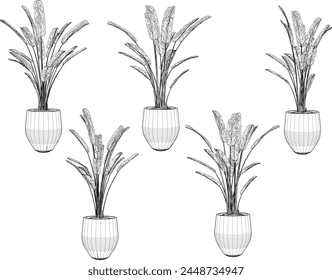 vector design sketch illustration of ornamental plants in pots for home interiors