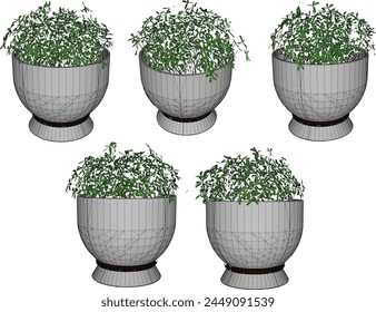 vector design sketch illustration of an ornamental plant with small leaves in a pot for home interior decoration