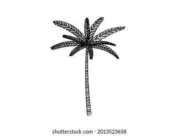 Vector design sketch of palm trees around the beach or sea