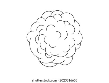 Vector design sketch of a tree with very dense leaves