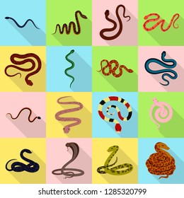 Vector design of skin and reptile logo. Set of skin and danger stock symbol for web.