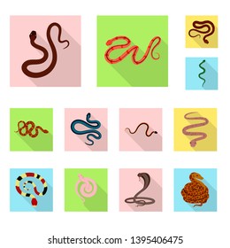 Vector design of skin and reptile sign. Set of skin and danger stock vector illustration.