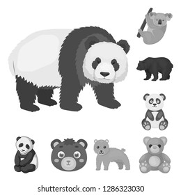 Vector design of sleep  and brown  symbol. Set of sleep  and animal  stock symbol for web.