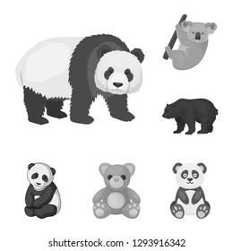 Vector design of sleep  and brown  symbol. Collection of sleep  and animal  vector icon for stock.