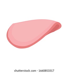 Vector design of slice and sausage icon. Web element of slice and fresh vector icon for Stock.