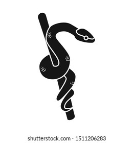 Vector design of snake on branch icon. Graphic of snake in jungle stock symbol for web.