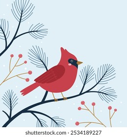 Vector design with space for text. Winter illustration with cardinal bird and tree branch.