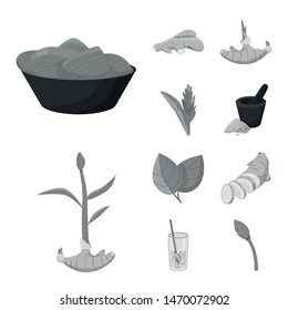 Vector design of spice and ingredient logo. Collection of spice and product stock symbol for web.