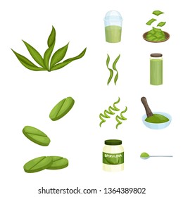 Vector design of spirulina and seaweed icon. Set of spirulina and vegan vector icon for stock.