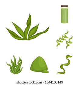 Vector design of spirulina and seaweed logo. Set of spirulina and vegan stock symbol for web.