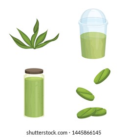 Vector design of spirulina and seaweed logo. Collection of spirulina and vegan stock vector illustration.