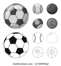 Vector design of sport and ball icon. Collection of sport and athletic stock vector illustration.