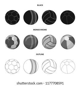 Vector design of sport and ball icon. Collection of sport and athletic stock symbol for web.