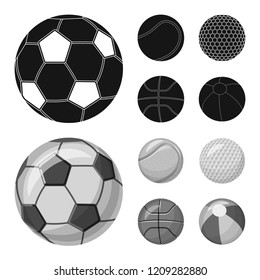 Vector design of sport and ball sign. Set of sport and athletic stock symbol for web.
