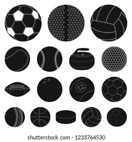 Vector design of sport and ball symbol. Collection of sport and athletic vector icon for stock.