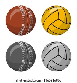 Vector design of sport and ball symbol. Collection of sport and athletic vector icon for stock.