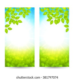 Vector design of the spring banners with leaves and sun. Vector illustration. Realistic spring background with twigs and sunshine, template of poster for your business in A4 size.