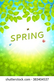 Vector design of the spring flyer with leaves and sun. Vector illustration. Realistic spring background with twigs and sunshine, template of poster for your business in A4 size.