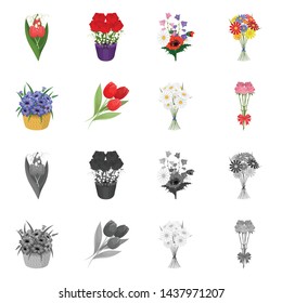 Vector design of spring and wreath icon. Collection of spring and blossom stock symbol for web.