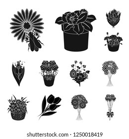 Vector design of spring and wreath logo. Set of spring and blossom stock symbol for web.