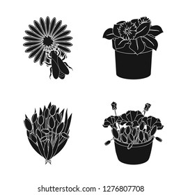Vector design of spring and wreath logo. Collection of spring and blossom stock vector illustration.