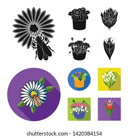 Vector design of spring and wreath sign. Set of spring and blossom stock symbol for web.