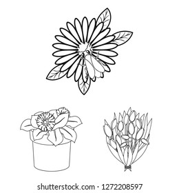 Vector design of spring and wreath symbol. Collection of spring and blossom stock symbol for web.