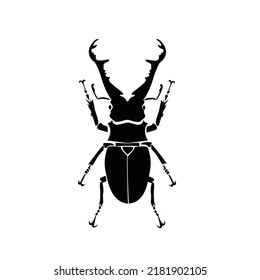 Vector de escarabajo de diseño (Lucanus cervus) sobre fondo blanco.  